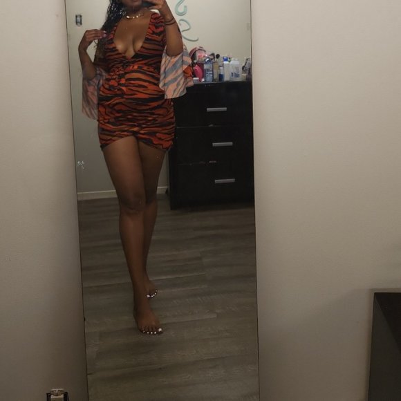 Orange Zebra Print Mesh Tie Waist Dress - Picture 2 of 3